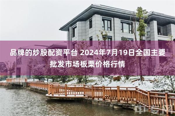 品牌的炒股配资平台 2024年7月19日全国主要批发市场板栗价格行情