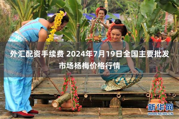 外汇配资手续费 2024年7月19日全国主要批发市场杨梅价格行情