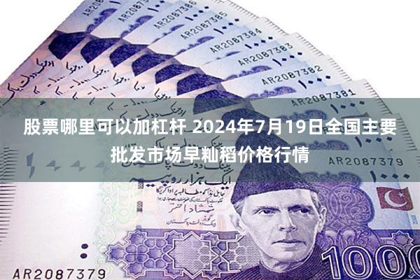 股票哪里可以加杠杆 2024年7月19日全国主要批发市场早籼稻价格行情