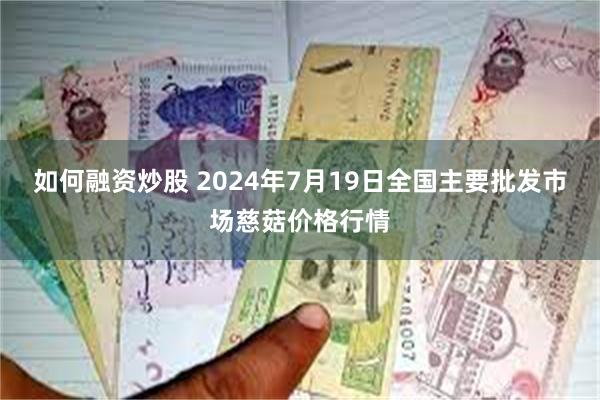 如何融资炒股 2024年7月19日全国主要批发市场慈菇价格行情