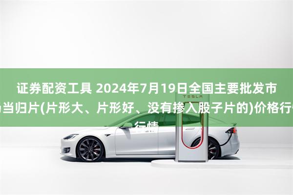 证券配资工具 2024年7月19日全国主要批发市场当归片(片形大、片形好、没有掺入股子片的)价格行情