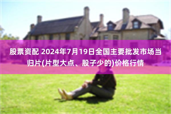 股票资配 2024年7月19日全国主要批发市场当归片(片型大点、股子少的)价格行情