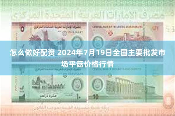 怎么做好配资 2024年7月19日全国主要批发市场平菇价格行情