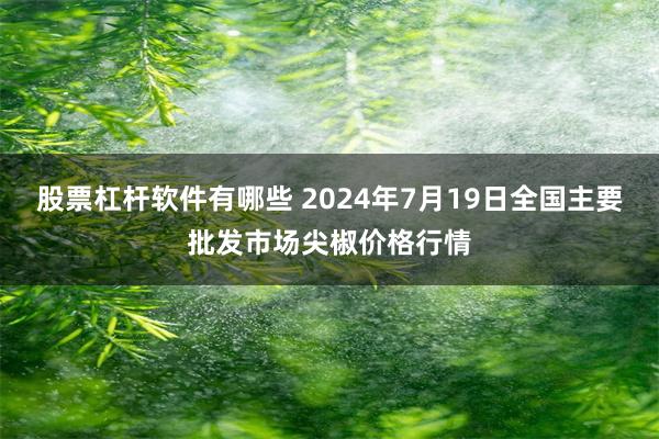 股票杠杆软件有哪些 2024年7月19日全国主要批发市场尖椒价格行情