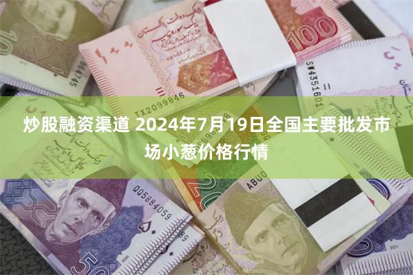 炒股融资渠道 2024年7月19日全国主要批发市场小葱价格行情