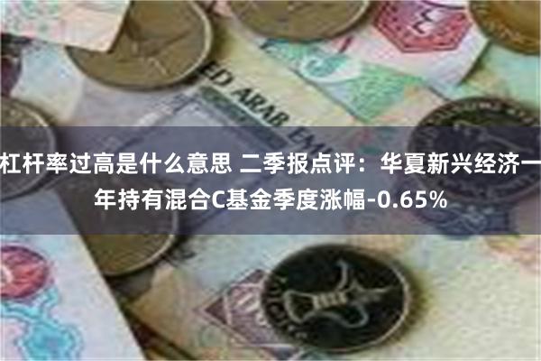 杠杆率过高是什么意思 二季报点评：华夏新兴经济一年持有混合C基金季度涨幅-0.65%