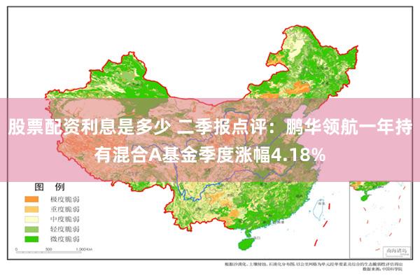 股票配资利息是多少 二季报点评：鹏华领航一年持有混合A基金季度涨幅4.18%