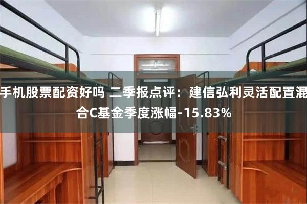 手机股票配资好吗 二季报点评：建信弘利灵活配置混合C基金季度涨幅-15.83%