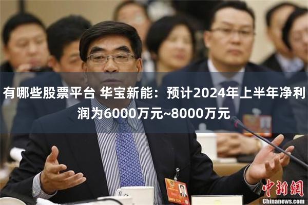 有哪些股票平台 华宝新能：预计2024年上半年净利润为6000万元~8000万元