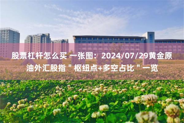 股票杠杆怎么买 一张图：2024/07/29黄金原油外汇股指＂枢纽点+多空占比＂一览