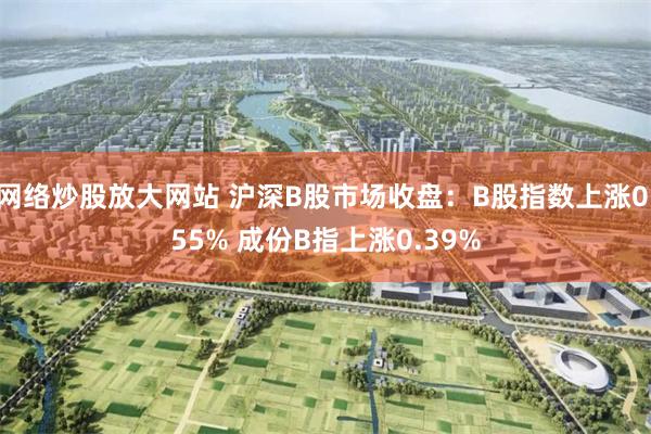 网络炒股放大网站 沪深B股市场收盘：B股指数上涨0.55% 成份B指上涨0.39%