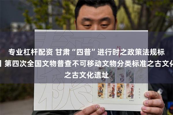 专业杠杆配资 甘肃“四普”进行时之政策法规标准⑫丨第四次全国文物普查不可移动文物分类标准之古文化遗址