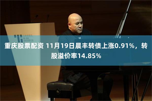 重庆股票配资 11月19日晨丰转债上涨0.91%，转股溢价率14.85%