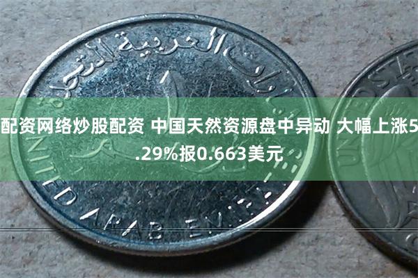 配资网络炒股配资 中国天然资源盘中异动 大幅上涨5.29%报0.663美元