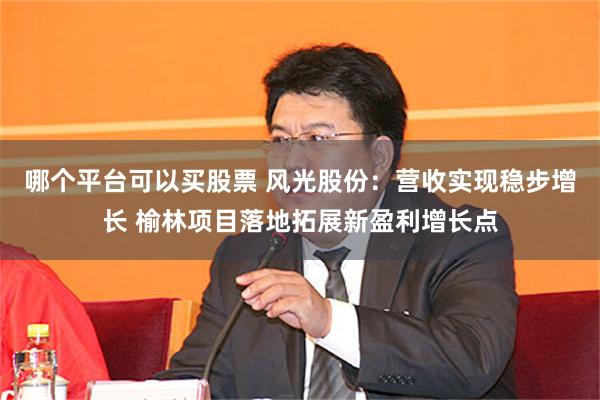 哪个平台可以买股票 风光股份：营收实现稳步增长 榆林项目落地拓展新盈利增长点