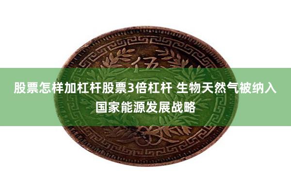 股票怎样加杠杆股票3倍杠杆 生物天然气被纳入国家能源发展战略